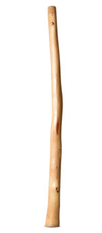 Natural Finish Larger Bore Didgeridoo (TW1676)